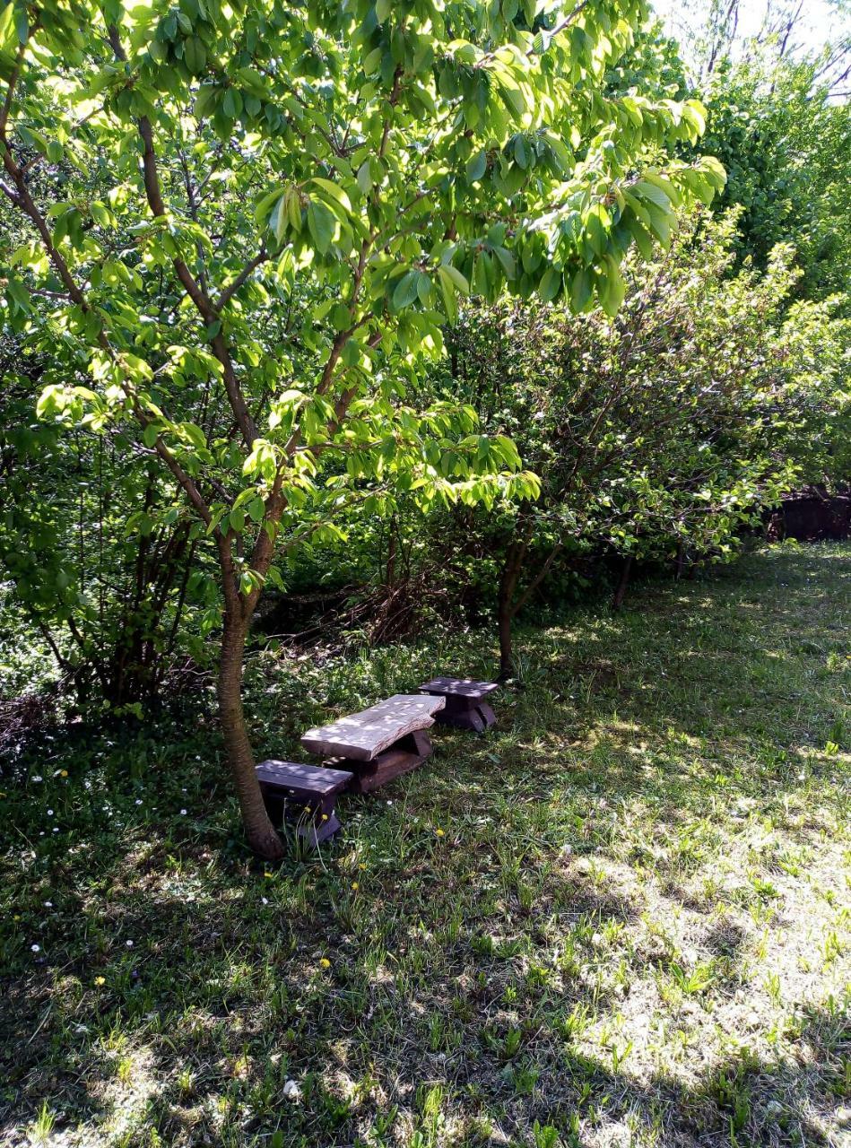 Apartman Miljkovic Arandelovac Exterior photo